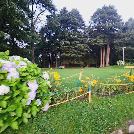 Smarthill Kalatop-Nature'S Heaven Hotel Далхаузи Екстериор снимка