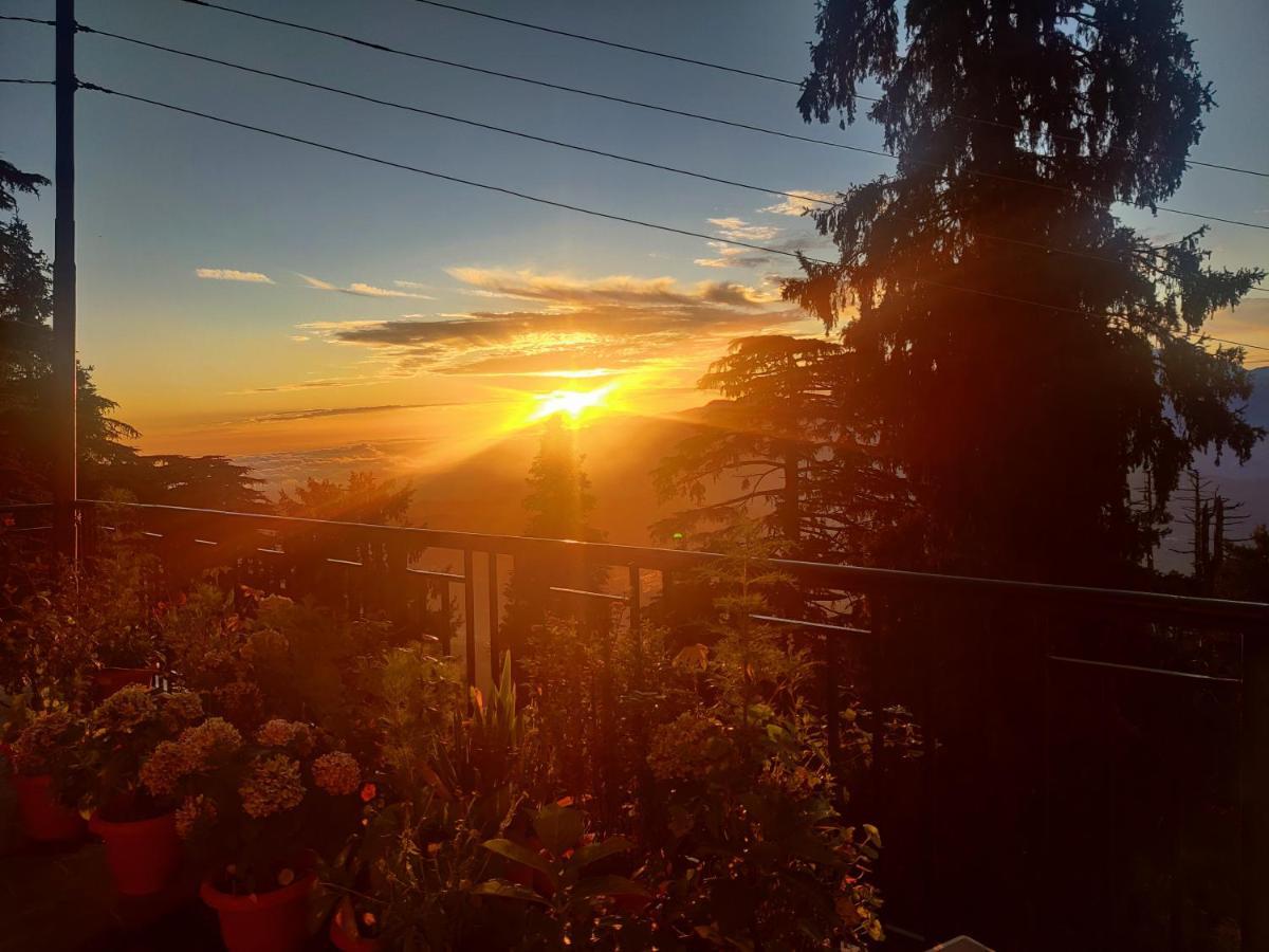 Smarthill Kalatop-Nature'S Heaven Hotel Далхаузи Екстериор снимка