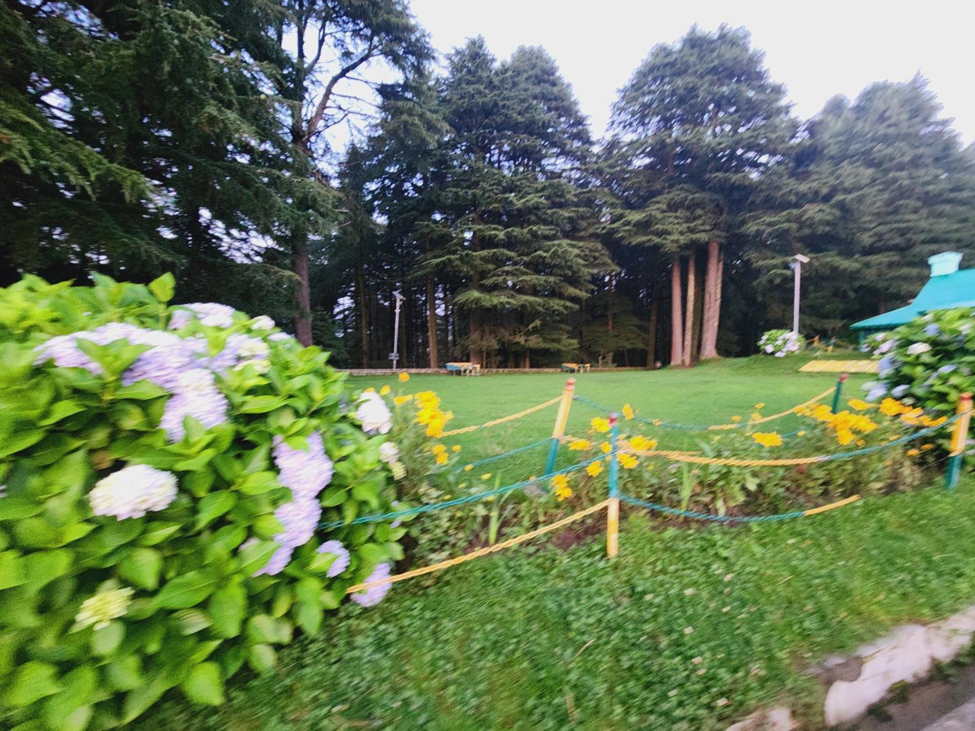 Smarthill Kalatop-Nature'S Heaven Hotel Далхаузи Екстериор снимка
