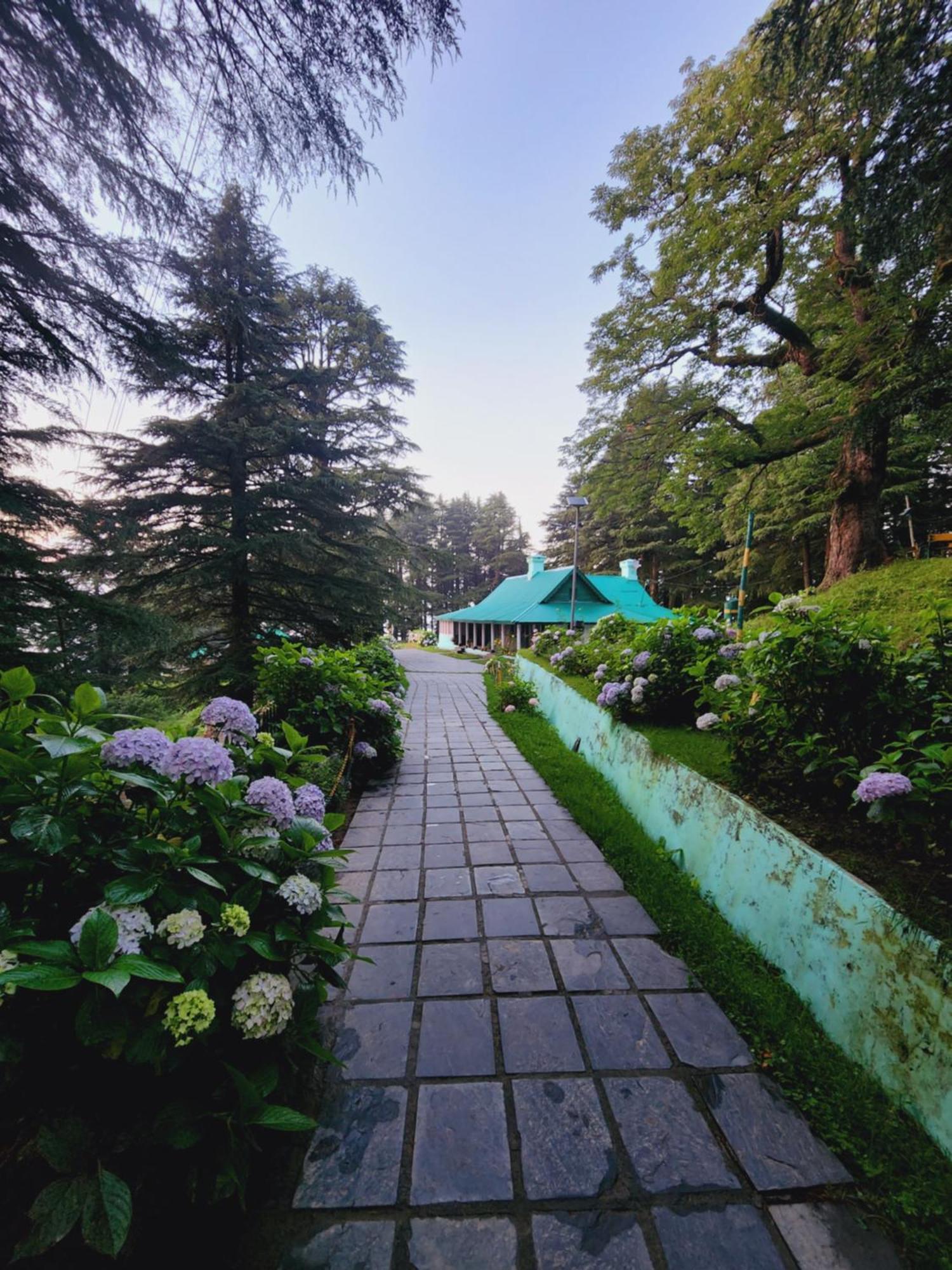 Smarthill Kalatop-Nature'S Heaven Hotel Далхаузи Екстериор снимка