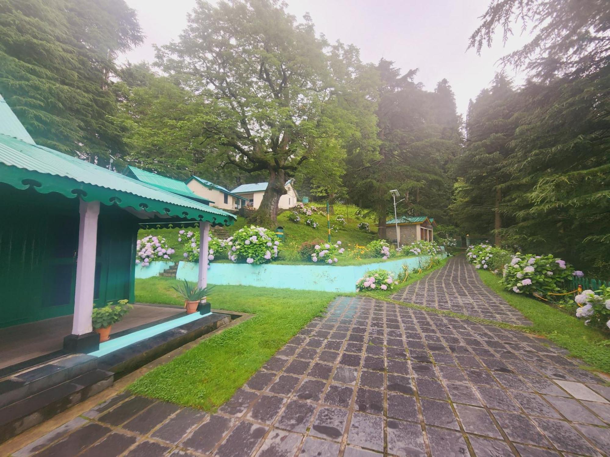 Smarthill Kalatop-Nature'S Heaven Hotel Далхаузи Екстериор снимка
