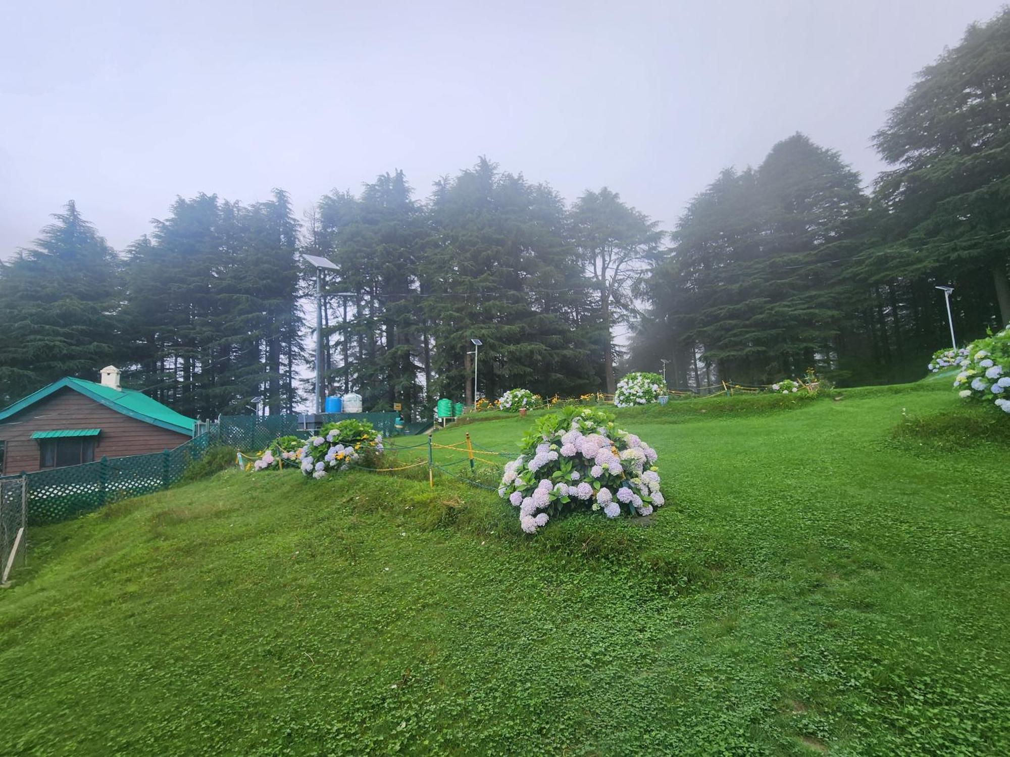 Smarthill Kalatop-Nature'S Heaven Hotel Далхаузи Екстериор снимка