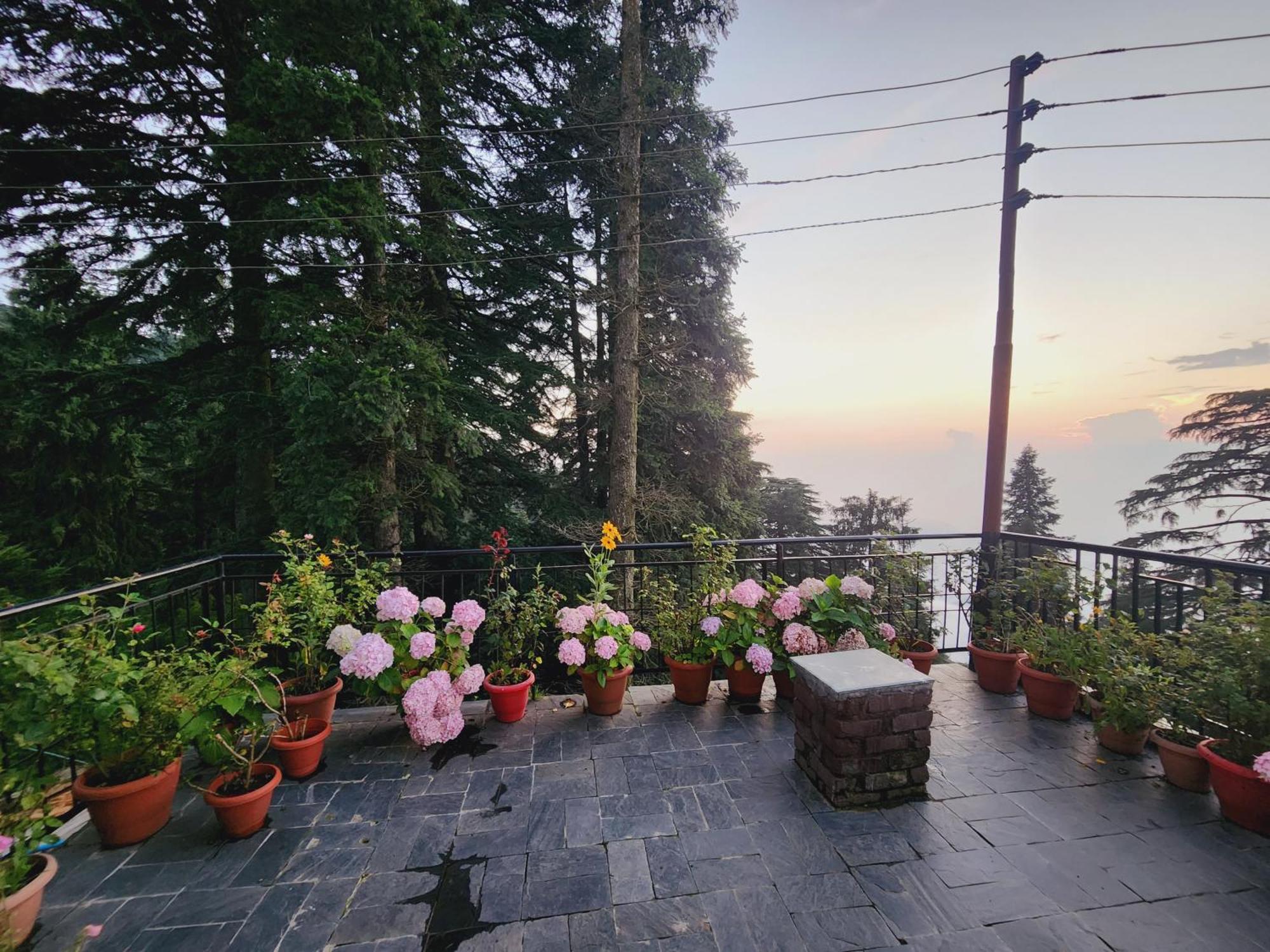 Smarthill Kalatop-Nature'S Heaven Hotel Далхаузи Екстериор снимка