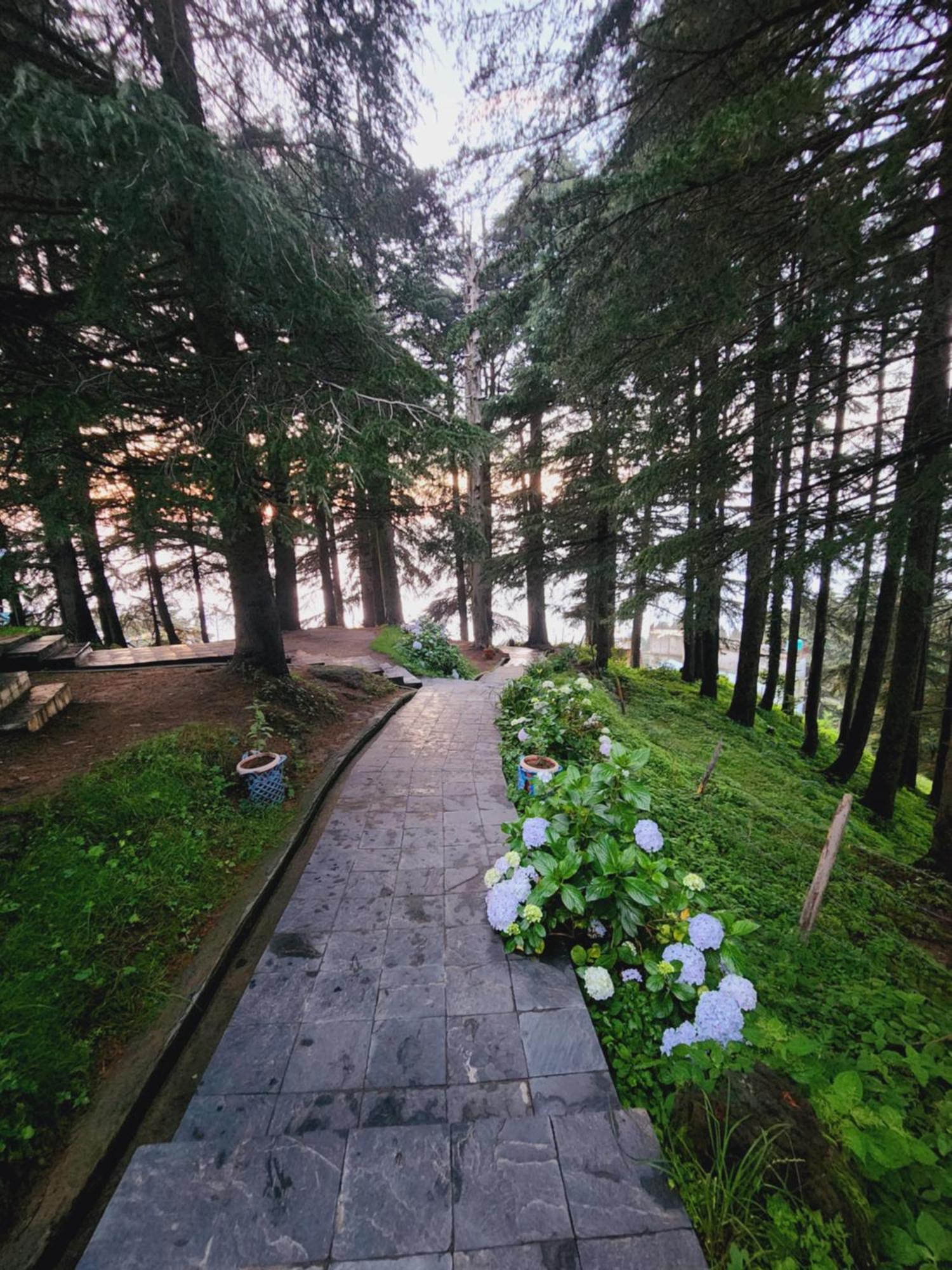 Smarthill Kalatop-Nature'S Heaven Hotel Далхаузи Екстериор снимка