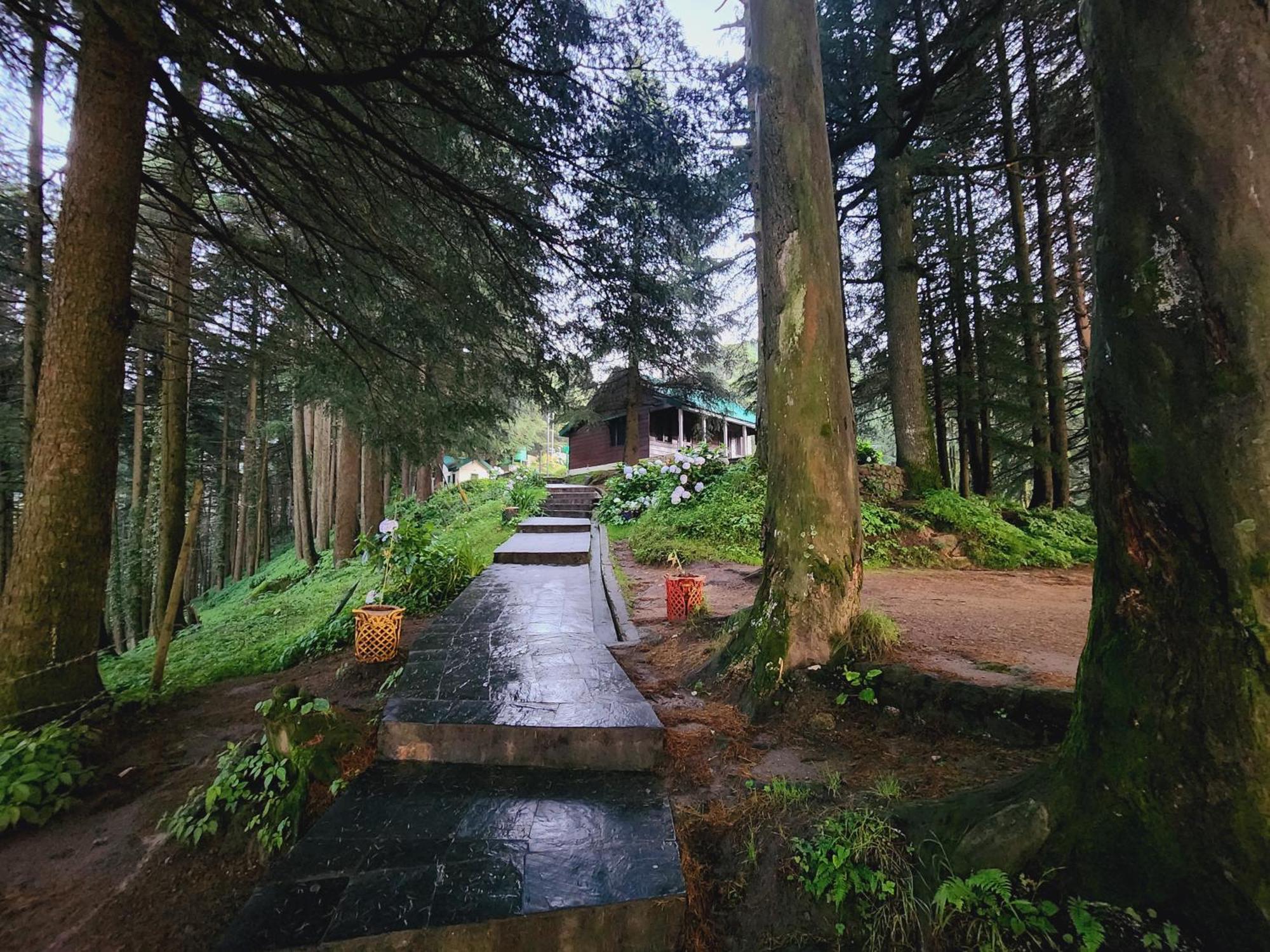 Smarthill Kalatop-Nature'S Heaven Hotel Далхаузи Екстериор снимка